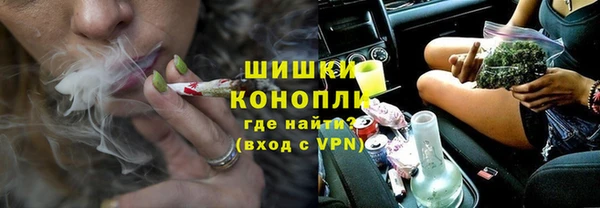 тгк Богородицк
