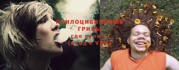 кристаллы Богданович